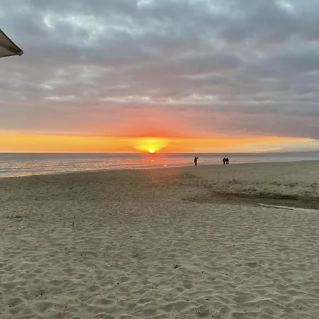 3065 Luxury In The Heart Of Elviria Lejlighed Marbella